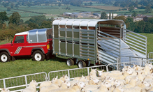 1427.11038.thumbnail.eng Livestock Trailers